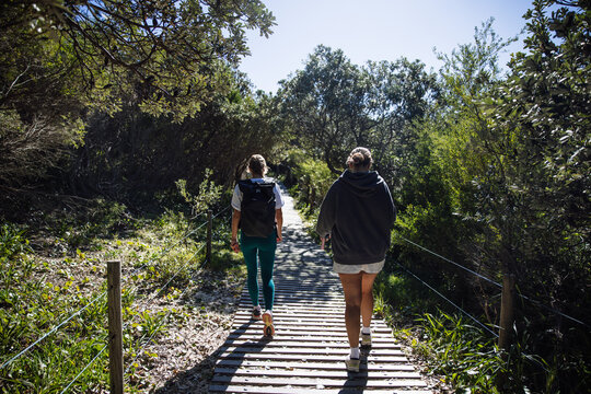 Hikers walking on wooden elevated path in forest preserve