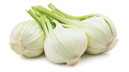 Three fennel bulbs with green stems and white outer skin, placed on a white background.