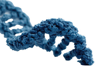 DNA Structure Molecular View