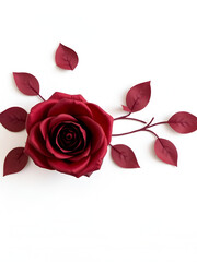 Paper burgundy rose on a white background. Greeting card