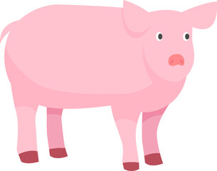 Farm Animal Illustration