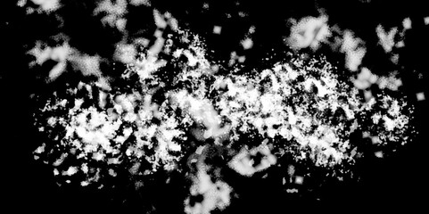 Snowflakes on dark background. white icy snowflakes isolated on black background, natural background. white crystalline powder on a black background. sugar dust. texture, pattern and clipping.