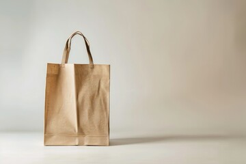 Flawless Picture of Reusable Shopping Bag Studio Shoot