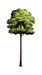 tree with birds