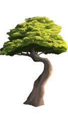 tree isolated on white background