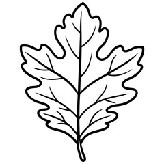 Detailed Oak Leaf with Lobed Edges – Fine Line Art Illustration