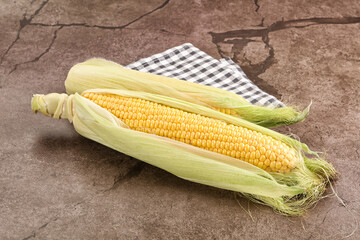 Ripe sweet yellow corn cob