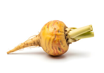 Single maca root is lying horizontally on a white background