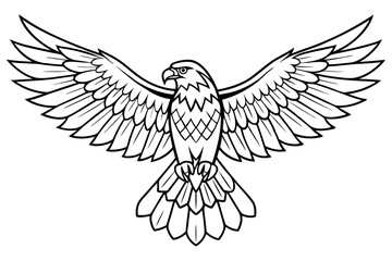 Minimal Hawk Bird Vector Illustration