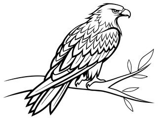 Fototapeta premium Minimal Kite Bird Illustration on White