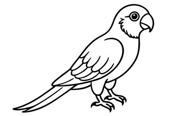 Obraz premium Lorikeet Bird Sketch on Clean Background