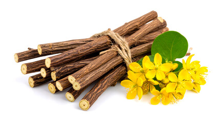 Chinese licorice plant with yellow flowers