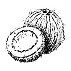 Sketch crayon exotic tropical nut coconut illustration. Hand drawn scribble doodle plant, vegan food, dessert and tasty product. Pencil texture vector design element for label, package, tag.