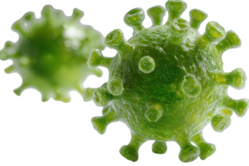 Virus Structure Microscopic View (1)