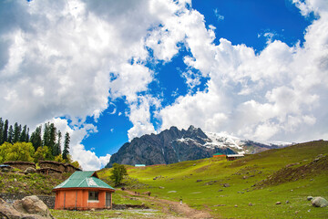 Obraz premium Majestic Mountain Landscape in Sonamarg, Kashmir with Green Meadows, Snow Peaks, and Rural Houses under Dramatic Sky