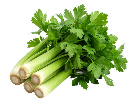 Fresh bunch of green celery stalks and leaves vibrant culinary ingredient on transparent background