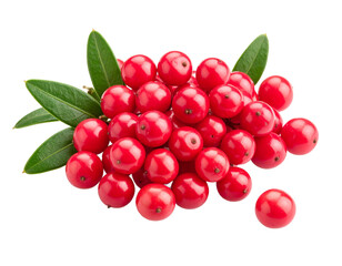 Lingonberry cluster with vibrant red berries and green leaves on transparent background