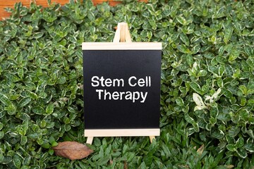 Mini chalkboard with the words 