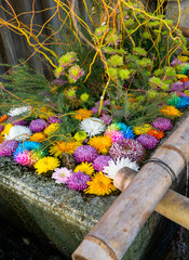 A Chozu-ya or Temizu-ya, a water purification fountain found in many Japanese Shrines, Japan