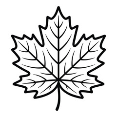 Maple Leaf Icon, Vector, Illustration, Outline, Line Art, Silhouette, Logo, White Background.