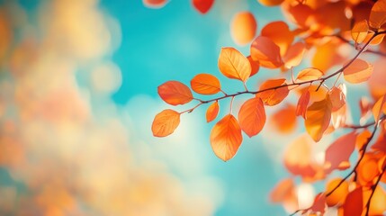 Autumn leaves against a vibrant sky