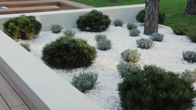 Minimalist garden at sunset, landscape design next to the house, with white stones, lush coniferous shrubs and vegetation. Garden design, front yard.