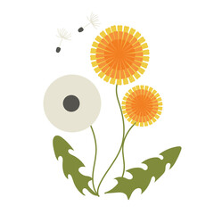 Dandelion flower illustration flat design