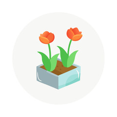 Two Orange Tulips Planted in a Rectangular Flower Pot Vector Icon