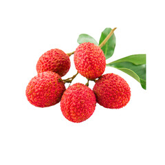 Realistic 3d Vector illustration of fresh Lychee