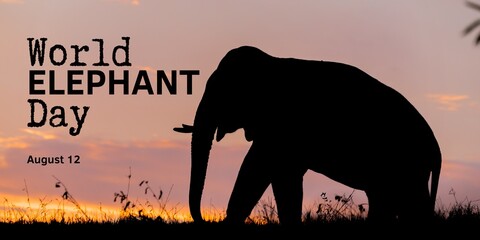 World Elephant Day Poster Wallpaper