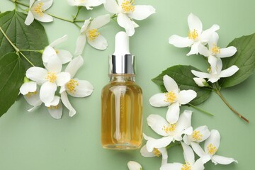 Essential oil and beautiful jasmine flowers on green background, flat lay