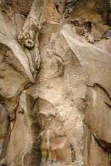 Ra&iacute;z entre las piedras