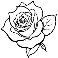  Minimal Rose Blossom Line Art 