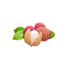 Realistic 3d Vector illustration of fresh Lychee