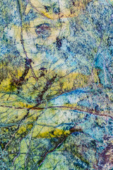 Serpentinite rock stone background