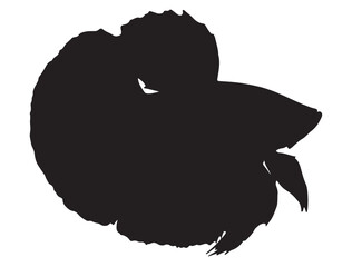  Betta Fish Silhouette