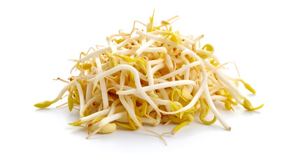 A fresh bunch of mung bean sprouts with delicate white roots and yellow tips.