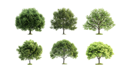 Pack Collection Collection of Lush Green Trees Perfect for Design Projects set against transparent background