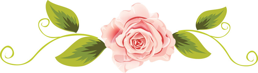 Pink Rose with Green Leaves and Swirling Vines