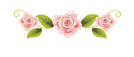 Pink Rose Floral Divider