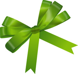 Bright Green Gift Bow