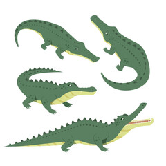 set of Green crocodile vector illustration isolated