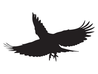 Bird Silhouette