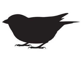 Bird Silhouette
