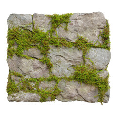 Isolated Stone Texture with Green Moss on Transparent Background