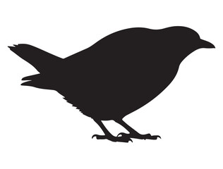 Bird Silhouette