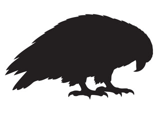 Bird Silhouette