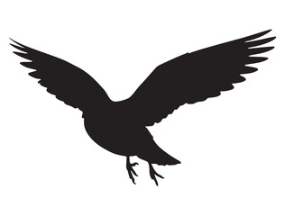 Bird Silhouette