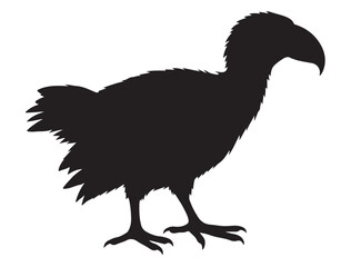 Bird Silhouette