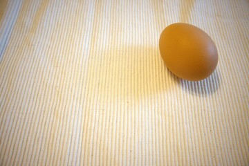 One brown chicken egg with white background.